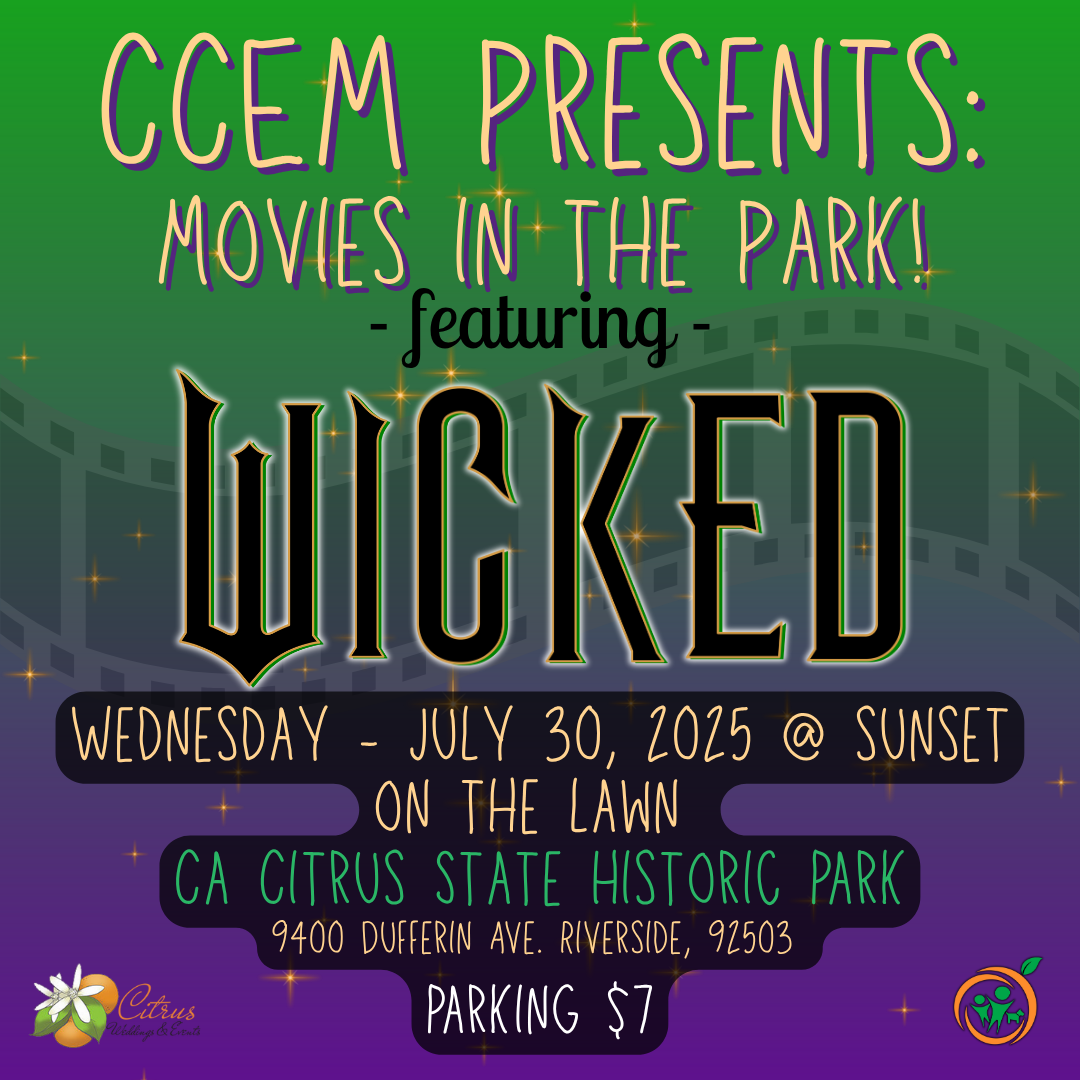 Movies in the park
